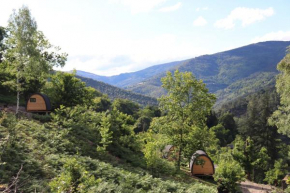 Un petit coin de paradis dans les Cévennes